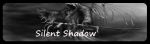 Silent Shadow firma 2