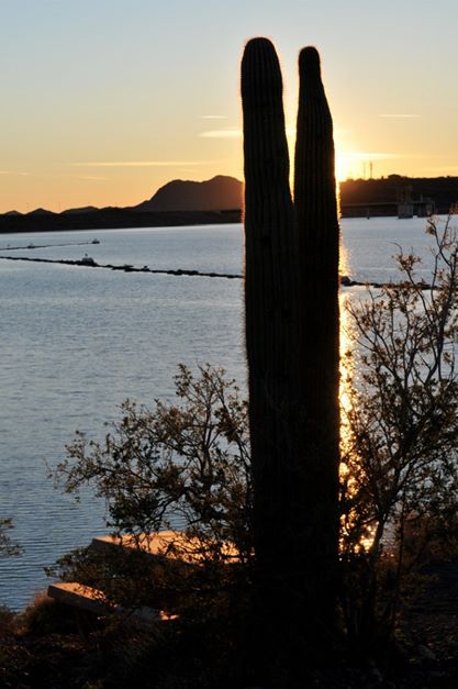 pleasant harbor lake