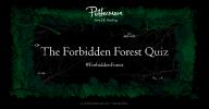 0_Forbidden_Forest_Cover.jpg